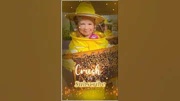 Diana HATTA Honey Bee Garden Latest Song Video Kids Diana Show Diana And Roma Shorts Diana Shorts 