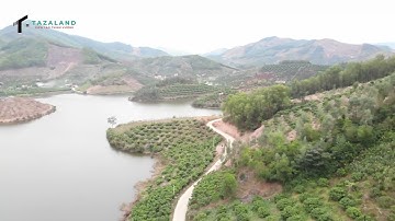 Lô đất vườn đẹp giá rẻ Bám hồ tại Lục Ngạn, Bắc Giang  TAZALAND .Bất Động Sản Lục Ngạn Tazaland