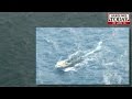 terror bid: more Pakistan boats
