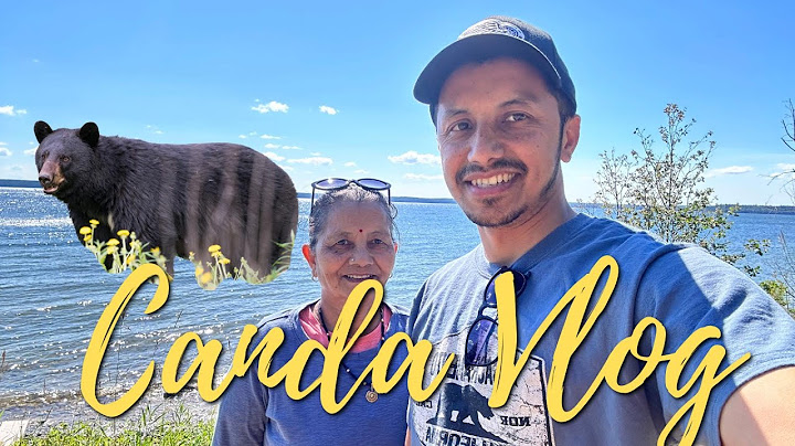 National Park I Lake I Bear on the trail I Mummyji in Canada