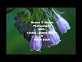Tokina 100mm Macro with Nikon D500 Nature &amp; Macro Photo Test