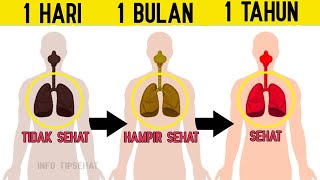 Apa Yang Terjadi Ketika Anda Berhenti Merokok  Mulai Dari Hari Pertama (part 1)