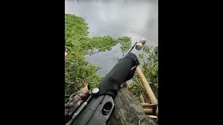 siulan pemanggil ikan 100%ampuh