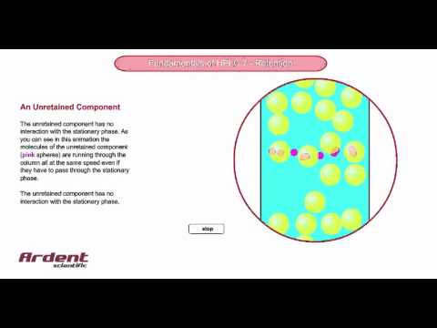 Fundamentals of HPLC 7 - An Unretained Component