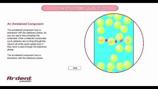 Fundamentals of HPLC 7 - An Unretained Component