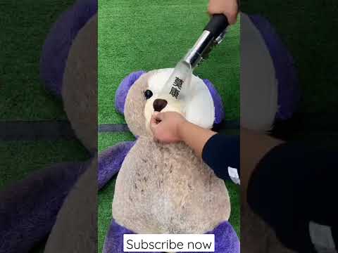 How To Clean | Teddy Bear With Step By Step Vacuums