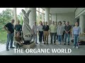 The organic world 2020