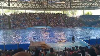 Sea World San Antonio 3