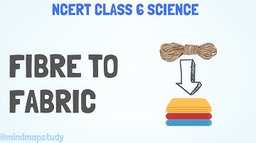 Fibre To Fabric | Class 6 | Mind Map Animated