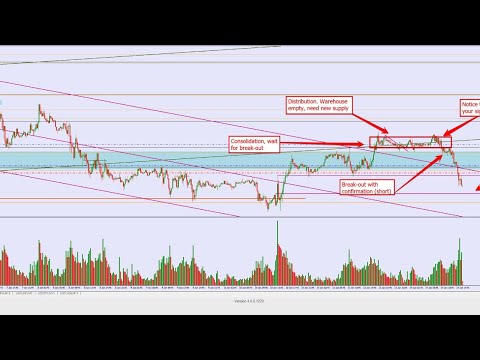 My own forex guru