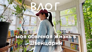 видео: Как сэкономить в Швейцарии? 💵 Секонд-хенд в Люцерне + Прогулка по озеру // влог картинка: Как сэкономить в Швейцарии? 💵 Секонд-хенд в Люцерне + Прогулка по озеру // влог