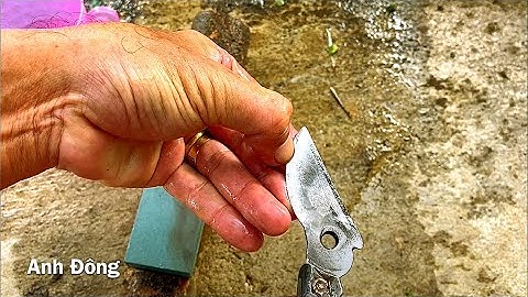 Chia sẽ cách mài kéo bonsai