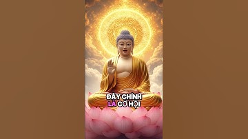 🌿NGÀY 12/12: PHÚC LỘC TRỜI BAN! 8 CON GIÁP MAY MẮN NHẤT!