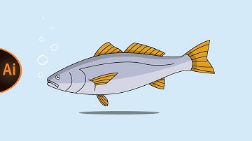 Adobe Illustrator Tutorial | How to create a FLAT VECTOR ILLUSTRATION of a FISH