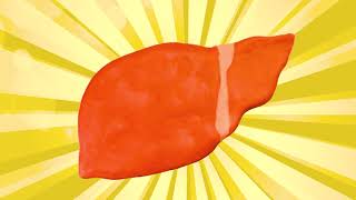 Why your Liver is a Super Organ