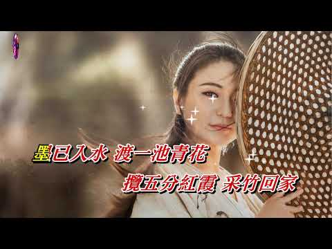 半壺紗〈華語〉劉珂矣〈MMO 卡拉版〉