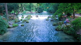 Munich Germany - Scenic Video around the Bavaria awesome Capital