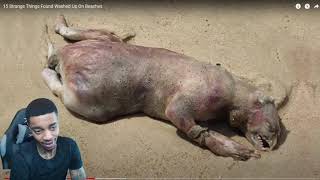 FlightReacts 15 Strange Things Found Washed Up On Beaches!
