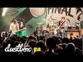 dustbox - 21g (Live)