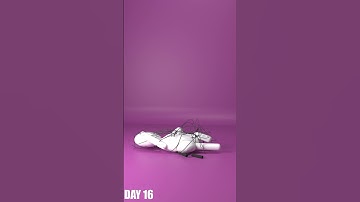 Day 16 | 365 Days of Animation #cgi #animation #3danimation #blender #blender3d