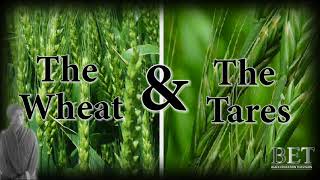 Separate the Wheat from the Tares the fruit from the weeds - Comment by Brown Guy 7113