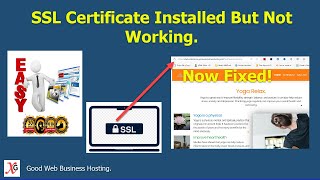 SSL Certificate Installed But Not Working | Easy To Use Control Panel