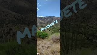 This Is What Bowie Arizona Looks Like In September