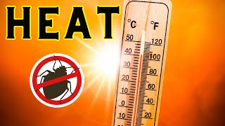 5 Tips for Getting Rid of BED BUGS using HEAT TREATMENT