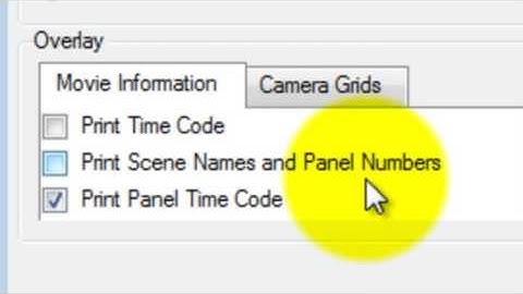 Burning In Extra Information in Storyboard Pro 4.2