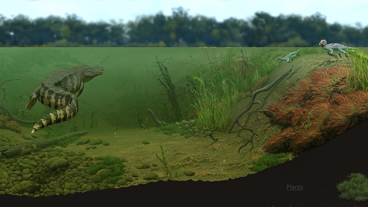 The Isle News Updates Lake Concept Art Pachy Attack Video Map Update 