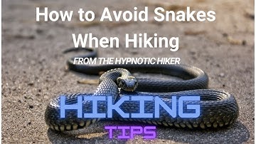 How to Avoid Snakes When Hiking