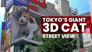 Tokyo’s 3D Cat in Shinjuku Street View