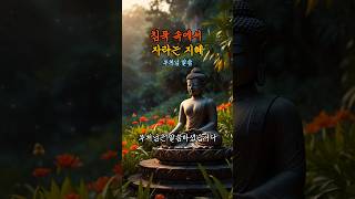침묵 속에서 자라는 지혜 #깨달음노트 #부처님말씀 #침묵의지혜 #법구경 #마음치유 #삶의지혜 #마음챙김 #명상시간 #시니어위로 #중년위로