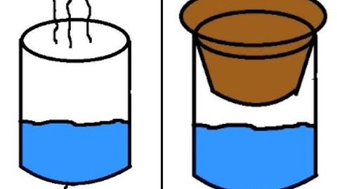 Open and Closed Systems Animation