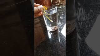 Magic  bubbles from buds  #shorts  # please subscribe