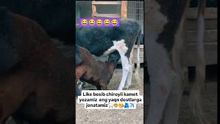 Qizni sikishyapti Yuqori sifatli pornografiya ajoyib