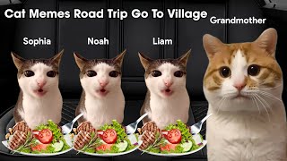 Cat Memes Road Trip Go To Village