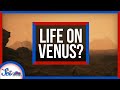 It’s Probably Not Aliens on Venus… But It Could Be | SciShow News