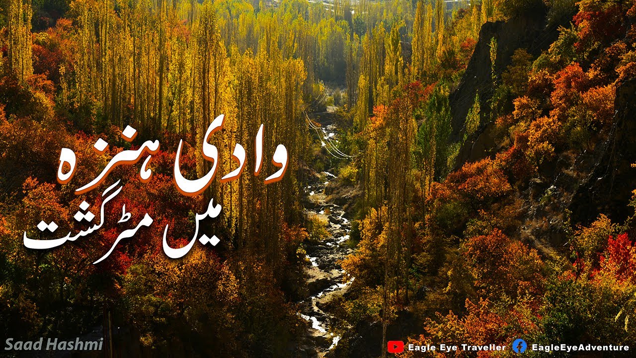 Karimabad to Aliaabad Hunza Valley | Vlog | Eagle Eye Traveller |