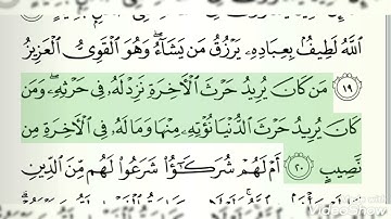 الحزب ٤٩ من القرآن الكريم الشيخ ماهر المعيقلي