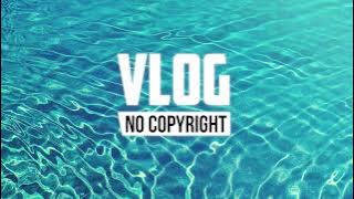 Erik Lund - Summertime  (TOP MUSIC No Copyright)