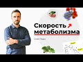 Скорость метаболизма