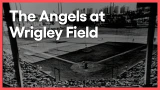 The TripleA Angels Played at Los Angeles' Wrigley Field | Things That Aren't Here Anymore | KCET