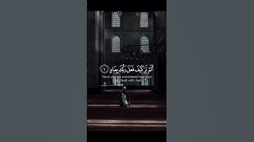 والفجر وليال عشر || سورة الفجر#عبدالعزيز_العسيري #قرآن_كريم #ترتيل_القرآن #اكسبلور #quranicarabic