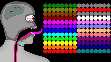 The Factory Human 8 Legs Eliminations Marble Race in Algodoo