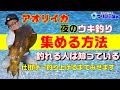 【簡単】アオリイカ夜のウキ釣りは一つのアイテムで激変します。