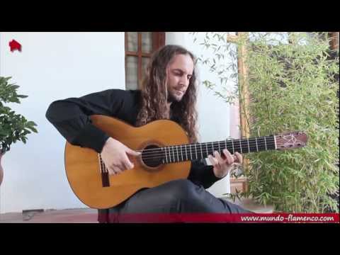 Amir-John Haddad, Punta y Tacón (Alegrias)