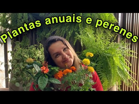 Vídeo: Plantas Herbáceas Perenes No Jardim. Parte 1