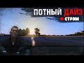 DayZ 1.13 | НЕУДЕРЖИМЫЕ | Стрим | Потный дайз