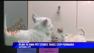 Plan To Ban Pet Stores Takes Step Forward